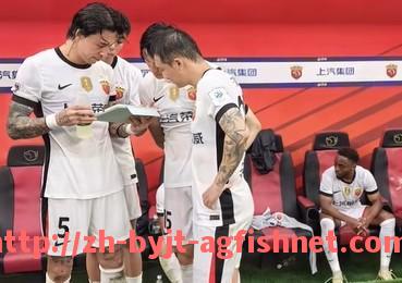 AG捕鱼王官网-《足球经理21》（FM21）中德甲球队介绍