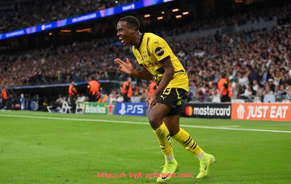 AG捕鱼王官网-德甲各球队主场球衣设计及球迷喜好