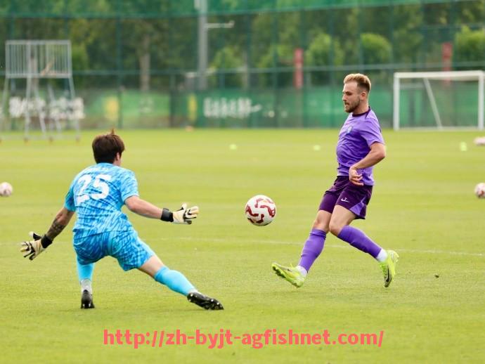 AG捕鱼王官网-法甲球队战术创新及其在联赛中的实际效果分析